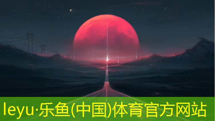 乐鱼体育,佛山网球网价格查询网
